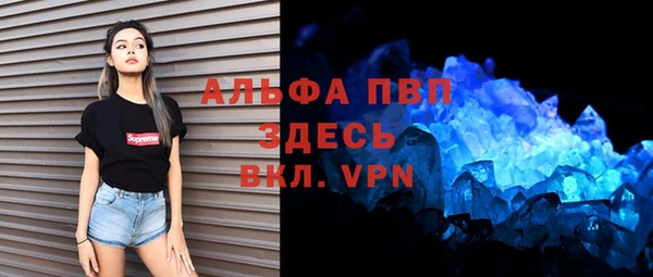 амф Бородино