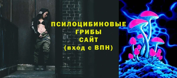 2c-b Богородицк