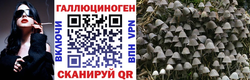 продажа наркотиков  Вяземский  Галлюциногенные грибы прущие грибы 